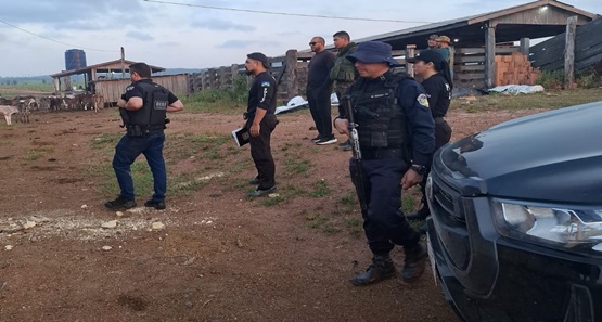 Polícia Civil deflagra operação após encontrar indícios de exploração ilegal de madeira 