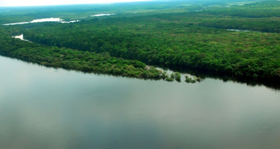 Governo lança operação Guardiões do Bioma  contra o desmatamento na Amazônia