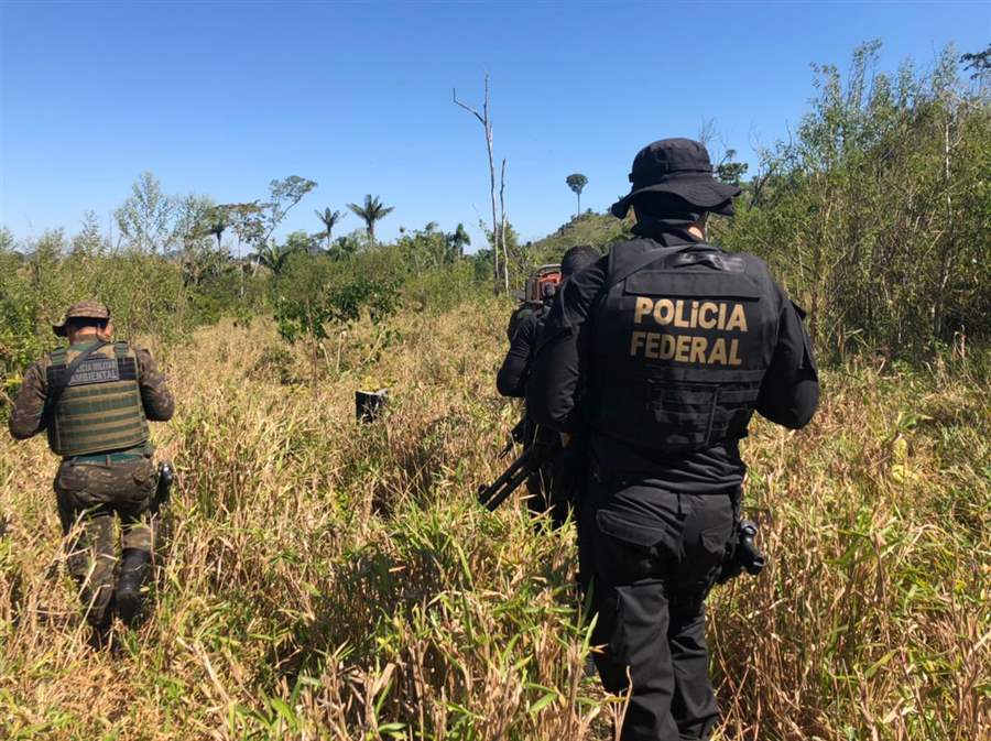 Polícia Federal combate desmatamento ilegal na Terra Indígena Sete de Setembro