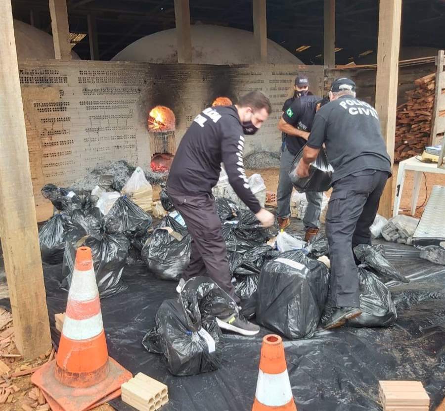 Denarc incinera 760 quilos de drogas entre cocaína e maconha apreendidos 