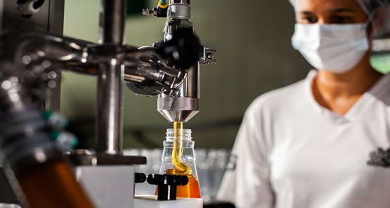 Indústria cresce em nove dos 15 locais analisados pelo mapeamento do IBGE