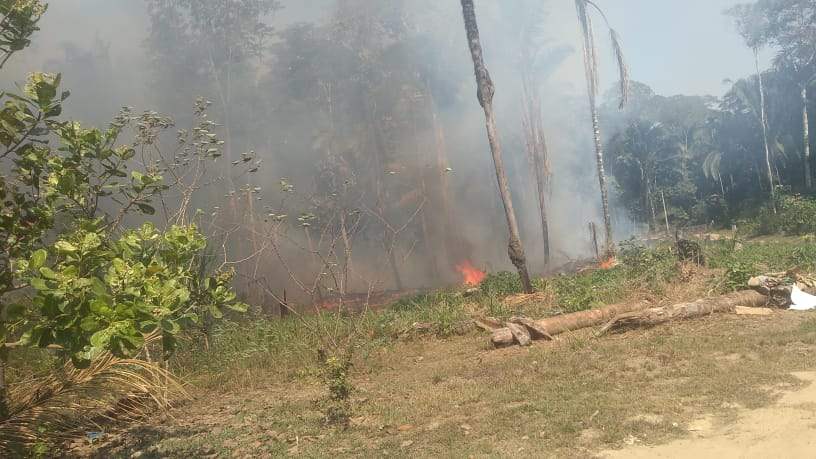 Fogo consome Fazenda Belmont desde a noite de ontem, 28, em Porto Velho
