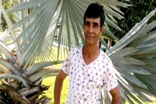 Trabalhador morre atingido por árvore em fazenda durante derrubada