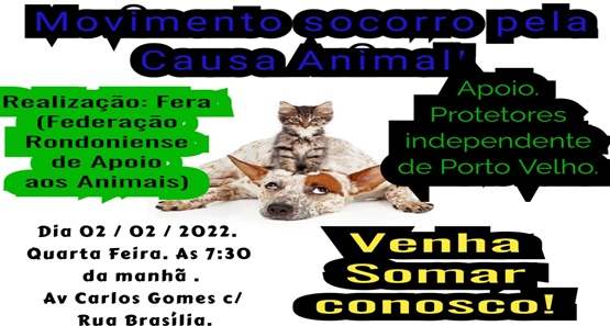 Protetores de animais convidam a população para ato que deve chamar a atenção do poder público