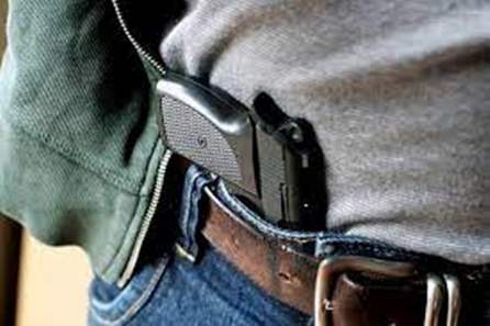 Regras sobre registro e posse de armas devem voltar para a pauta do Senado em 2022
