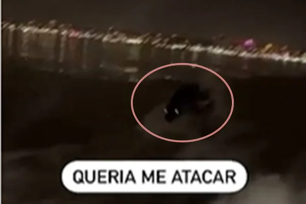 Homem foge de criatura misteriosa em barco: “Queria me atacar”; assista