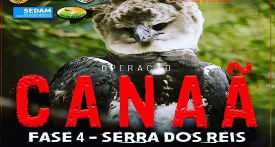 Polícia Civil deflagra operação de combate a invasão de terras públicas