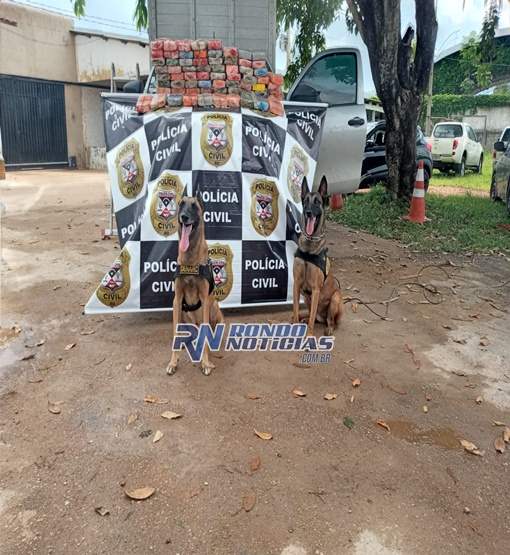 Policiais do DENARC apreendem caminhonete com 81 quilos de cocaína 