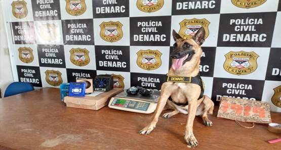 PC faz operação nos correios e apreende mais de meio quilo de cocaína