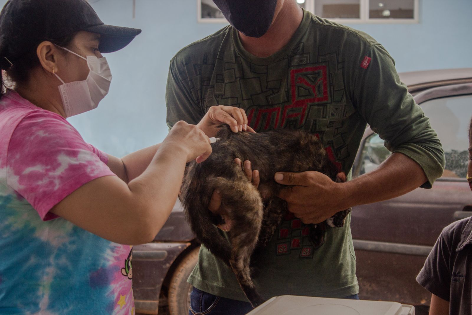 Dia D para vacinar cães e gatos é neste sábado (15), em Porto Velho
