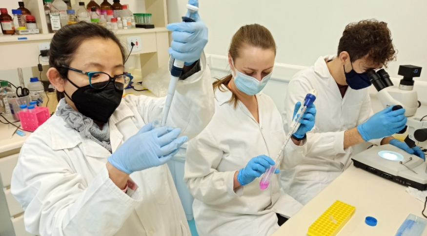 Instituto Butantan está produzindo vacina contra gripe que contém nova cepa H3N2