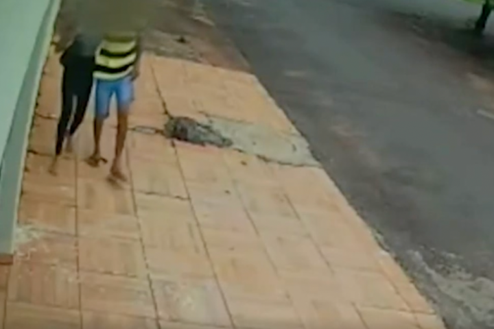 Jovem paga amigo para atirar nele e forjar atentado para comover a ex-namorada; veja o vídeo