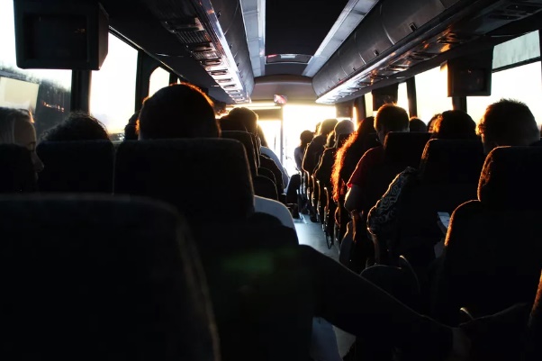 Veja como solicitar Carteira do Idoso e garantir viagens interestaduais gratuitas 