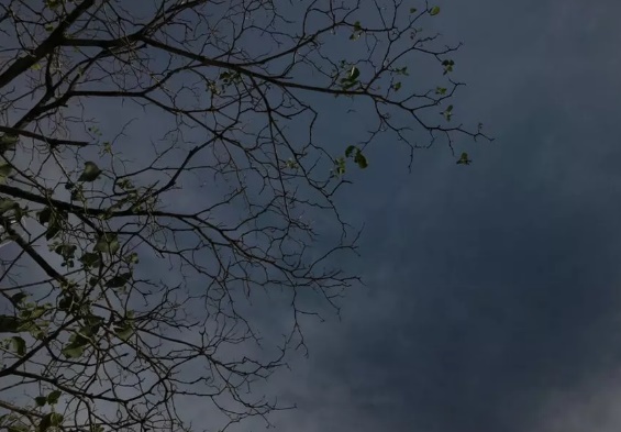 Temperaturas em Rondônia podem chegar aos 16°C; confira previsão
