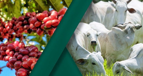 Faperon e Sindicatos apresentam Pautas Prioritárias do agronegócio 
