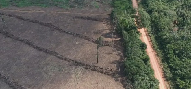 
Desmatamento na Amazônia Legal é o maior em 15 anos, aponta Imazon