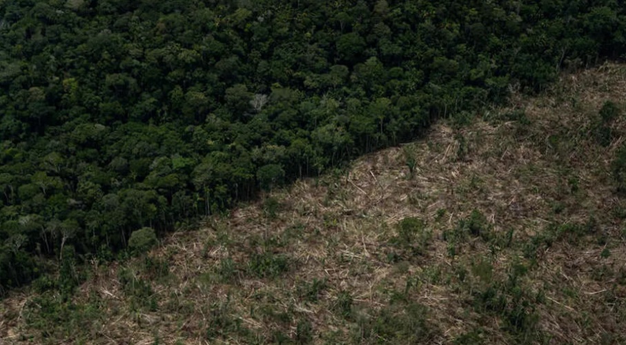 
Área desmatada da Amazônia em 2022 é 8 vezes maior que a cidade do Rio; marca é a pior em 15 anos
