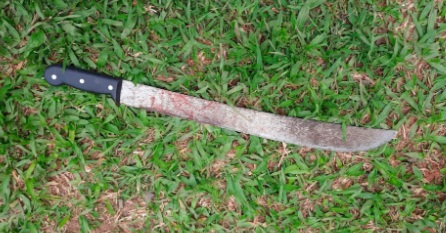 Homem é preso após tentar matar esposa com facão na capital 