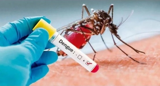 Casos de dengue aumentam 489% nos cinco primeiros meses em Rondônia 