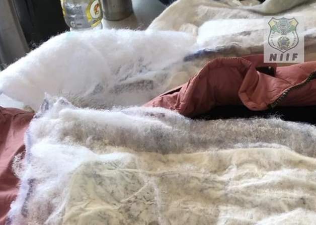 Mulher é presa com 2 kg de cocaína escondidas em jaqueta em Guajará-Mirim, RO
