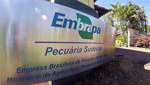 Embrapa exige trabalho presencial em plena pandemia, acusa sindicato da categoria 