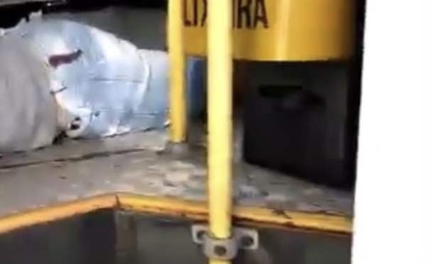 Assaltante de ônibus é crivado de bala por passageiro e agoniza até a morte
