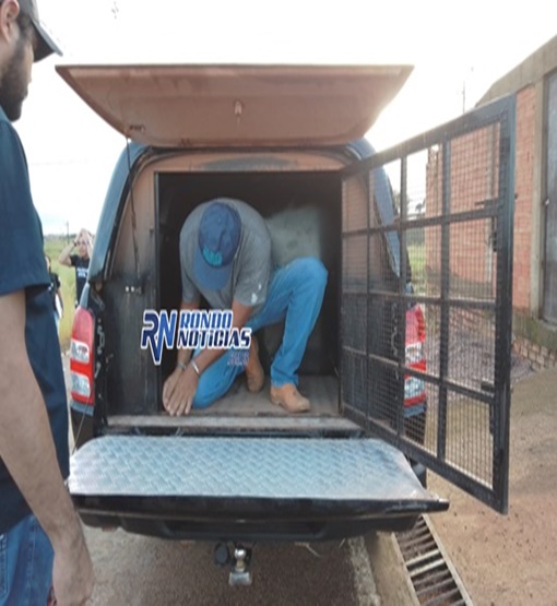 EXCLUSIVO! Vazam áudios de casal ameaçando matar pedreiro em Porto Velho