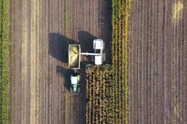 Associação afirma que Brasil tem fertilizantes só para mais três meses e pede ajuda federal