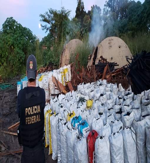PF e Ibama deflagram operação contra crimes ambientais cometidos por madeireiras