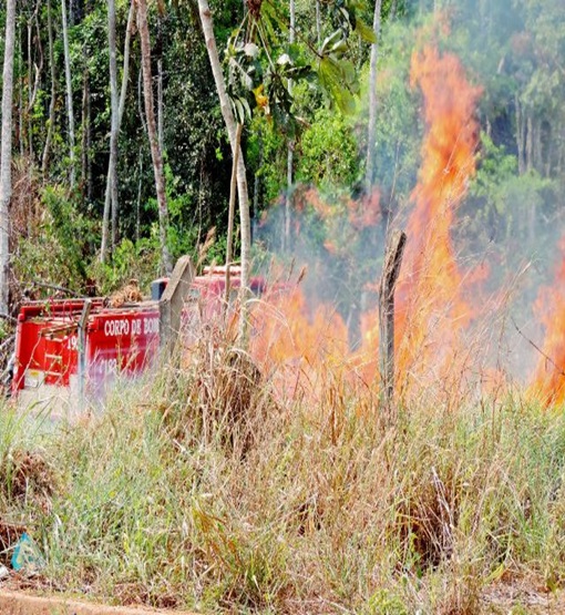 Capital de Rondônia concentra em cinco meses 40% dos focos de queimadas do Estado