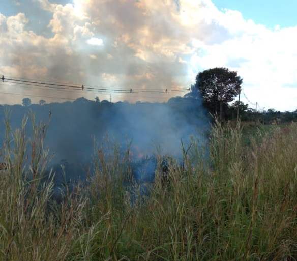
Queimadas podem afetar redes e fornecimento de energia em Rondônia 