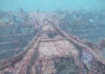 
Avião americano que caiu durante a 2ª Guerra Mundial é encontrado no litoral do RN