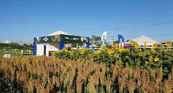 
Embrapa apresenta tecnologias na 9ª edição da Rondônia Rural Show