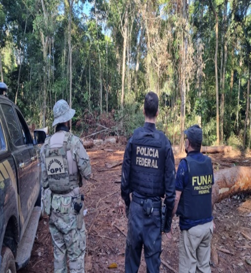 Polícia Federal combate crimes ambientais na terra indígena URU-EU-WAU-WAU 