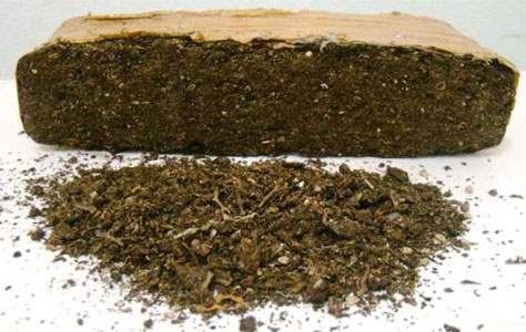 Polícia Militar apreende quase cinco quilos de maconha; traficante foge