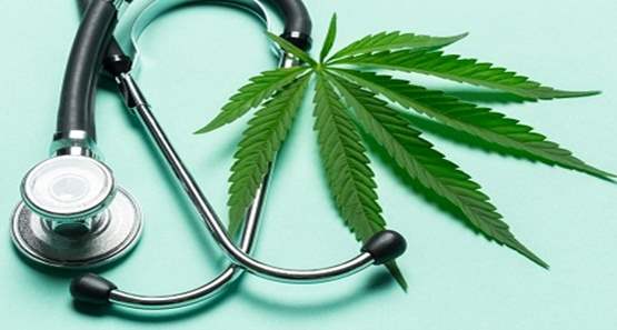 Anvisa autoriza novo produto medicinal à base de maconha no Brasil