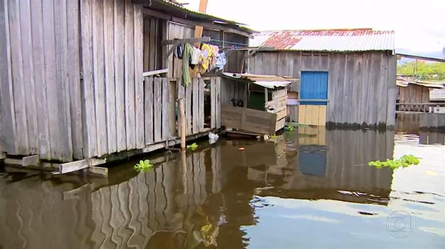 Moradores improvisam pontes para enfrentar a cheia do Rio Negro
