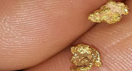 Garimpeiro cai em possível cilada de ex-mulher e perde mais de R$ 30 mil em ouro
