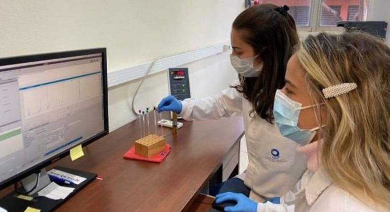  Moléculas alteradas no sangue de pacientes com Covid pode indicar risco de complicações
