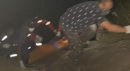 Casal morre afogado ao pular em cachoeira para fugir de abelhas
