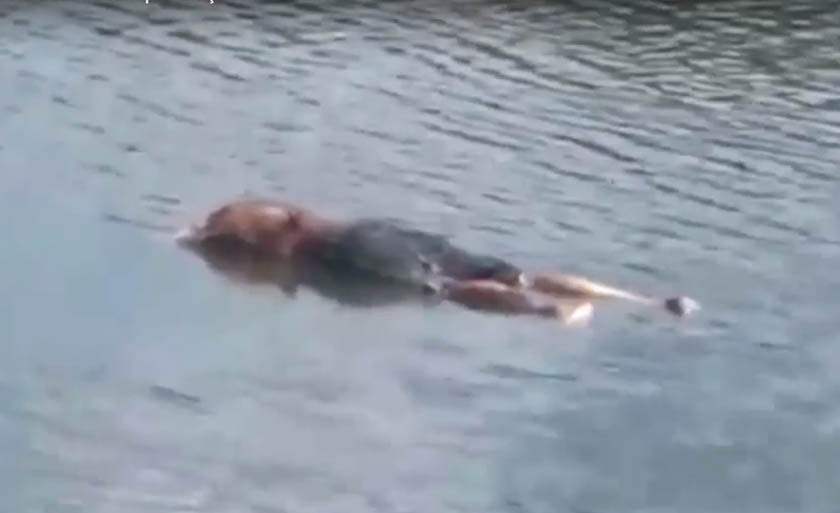 Funcionário é encontrado morto em empresa onde trabalhava