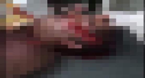 Onça-pintada mata homem e devora três cachorros; veja vídeo