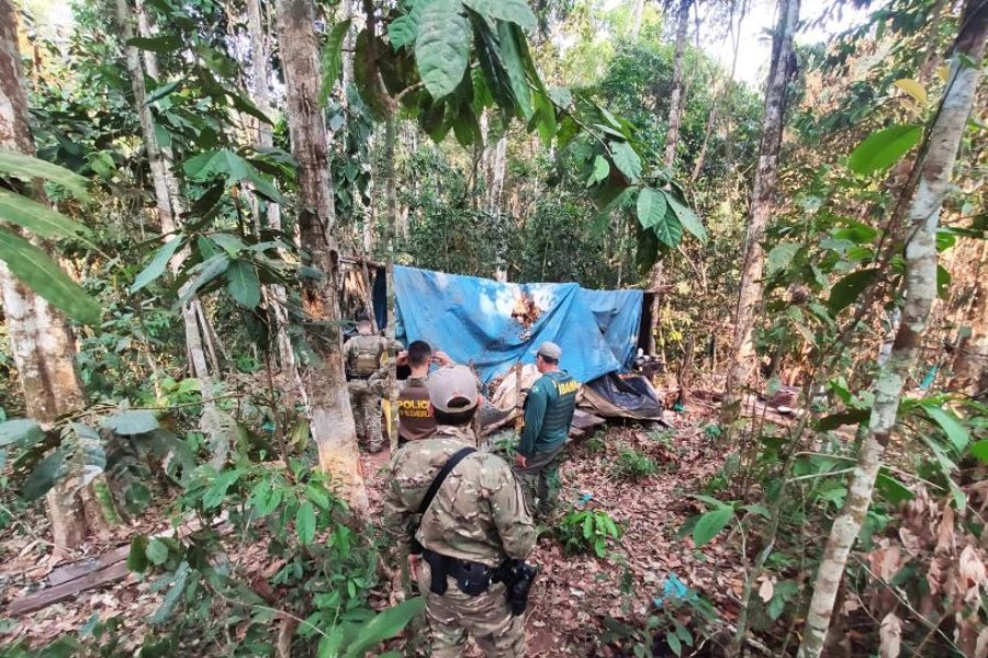 Operação da PF combate à exploração de madeiras na Terra Indígena Rio Mequéns