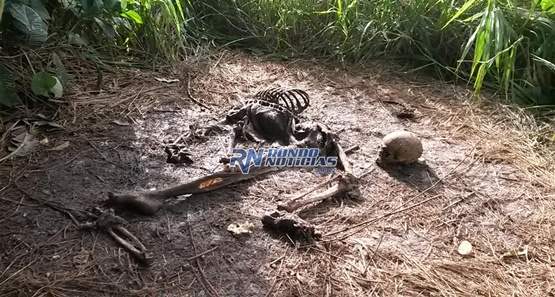 Ossada humana é encontrada pela Polícia após denúncia anônima
