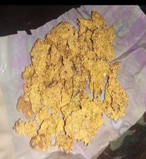 Bando invade draga, rende garimpeiro e rouba ouro avaliado em um R$ 1 milhão 