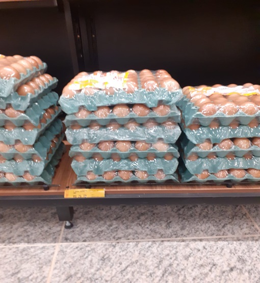 Com aumento gradual e sem recuo, preço do ovo gera impacto consumidor 