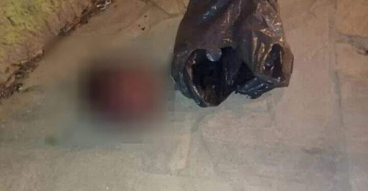 Membros do PCC arrancam a cabeça de rival do CV e ainda exibem como troféu; assista