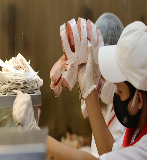 Sexta- feira Santa aquece comércio de peixes regionais em feiras e mercados 