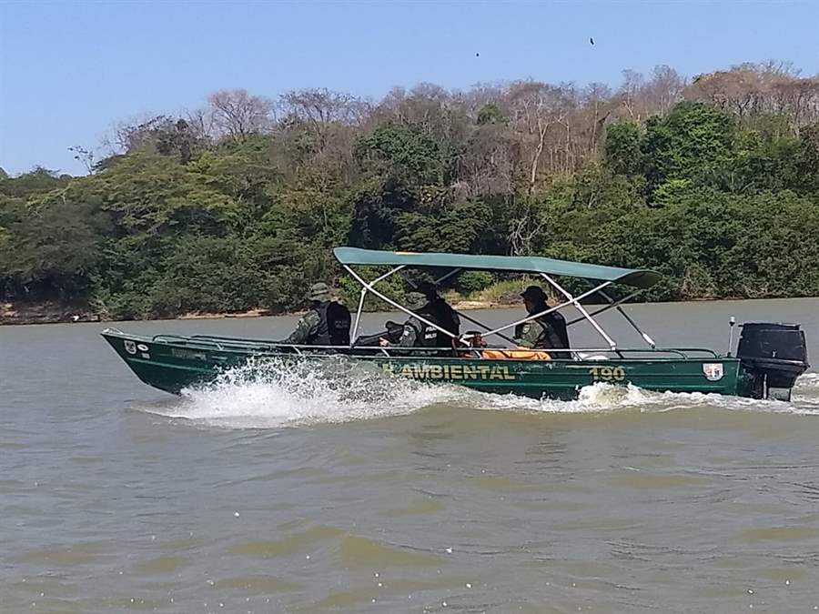 Sete espécies de peixes entram  no período de defeso em Rondônia 