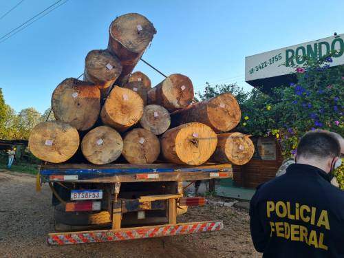 PF desarticula grupo criminoso que atuava em crime ambientais 
